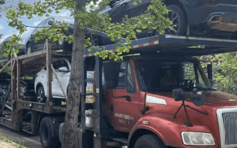 长春托运汽车到张家界多少钱啊