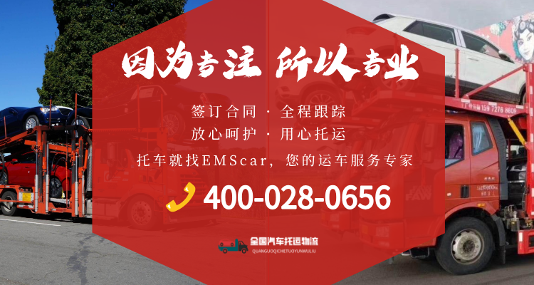 专业专注